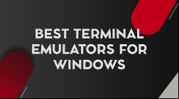 Terminal Emulator for Windows